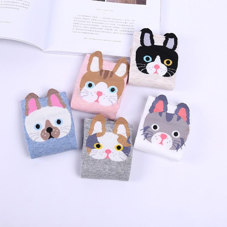 Set 05 tất nữ hình ngộ nghĩnh