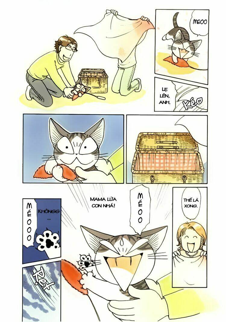 chi's sweet home chapter 37 5