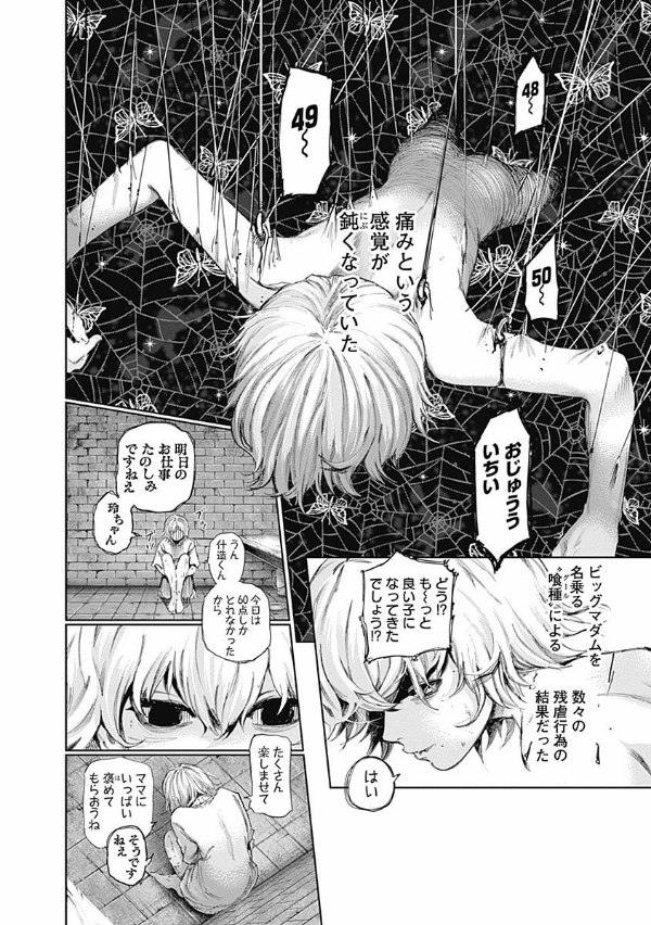 Tokyo Ghoul 13 (Japanese Edition)