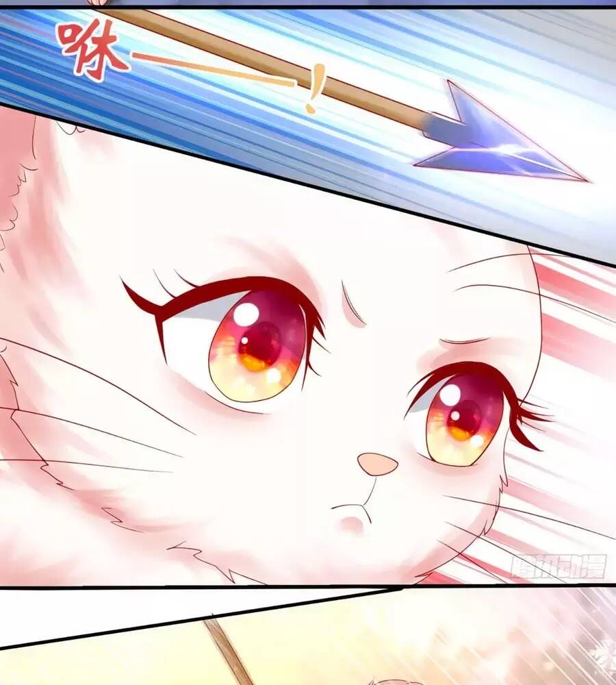 dưỡng thú vi phi chapter 5 65