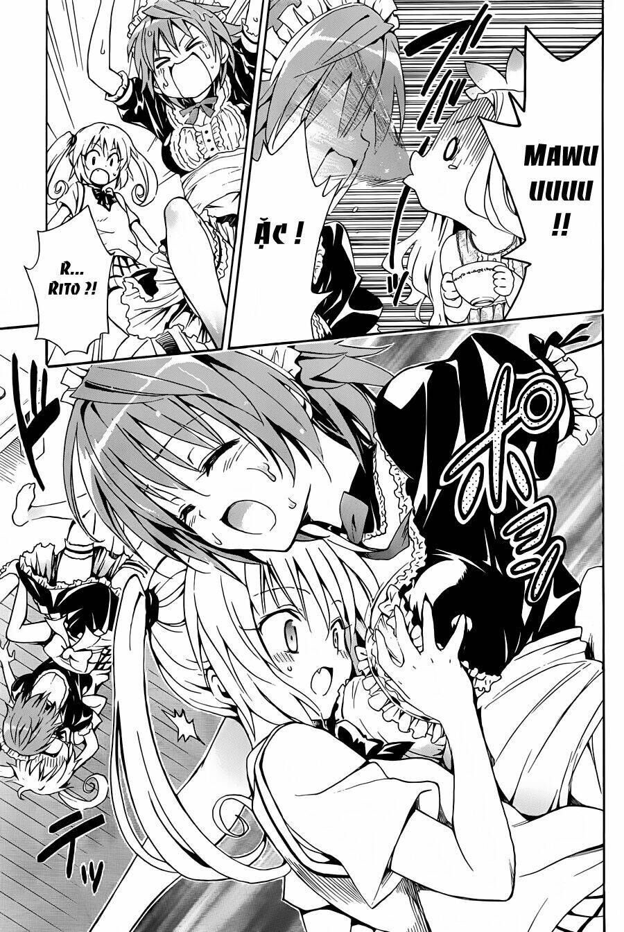 bọn tớ thích cậu! rito 2 - venus chapter 8 22