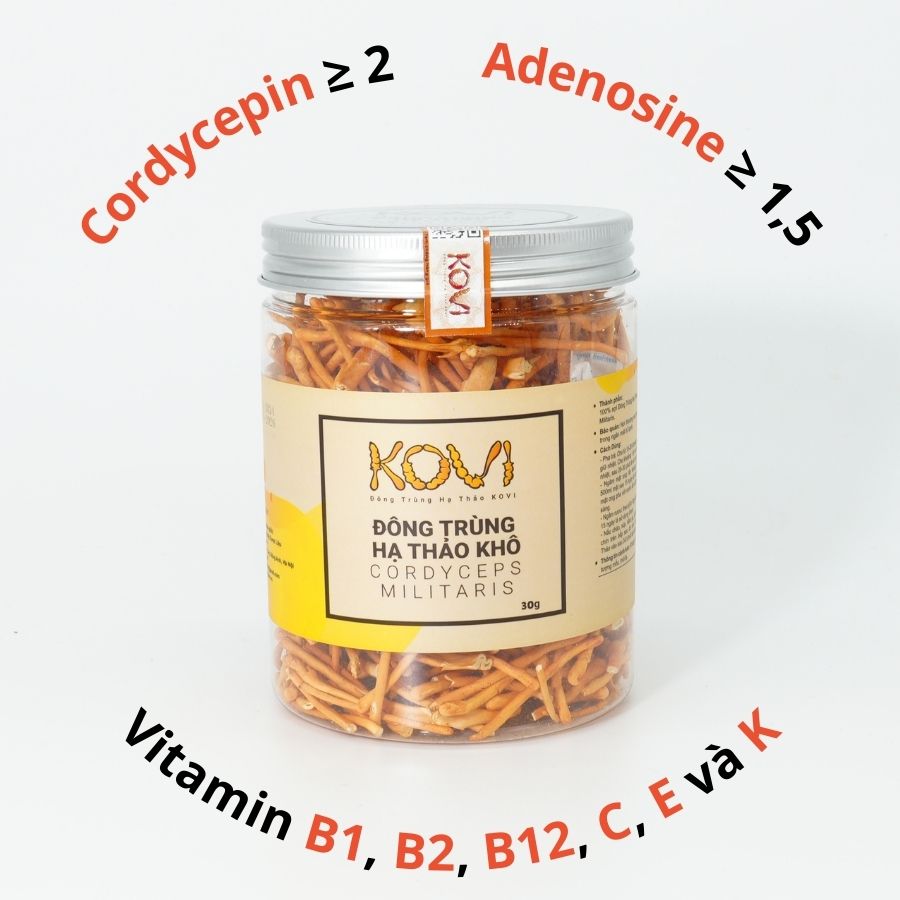 Đông trùng hạ thảo KOVI khô sấy thăng hoa 30g [Giá dùng thử]