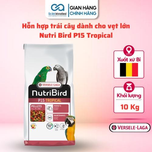 Hỗn Hợp Trái Cây Dinh Dưỡng Cho Vẹt Lớn - Versele-laga Nutri Bird P15 Tropical Làm Lông Đẹp Chim Khoẻ Mạnh Bao 10kg