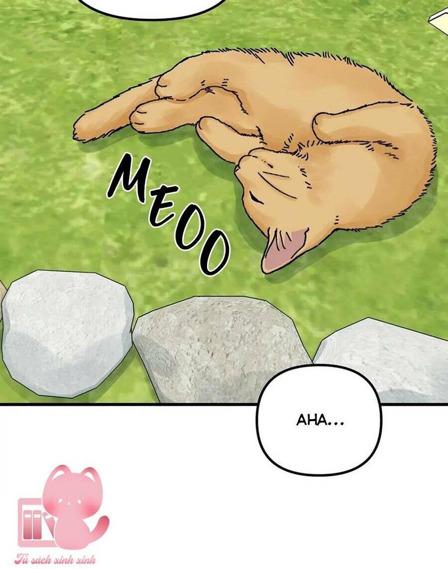 công chúa bãi rác chapter 65 14