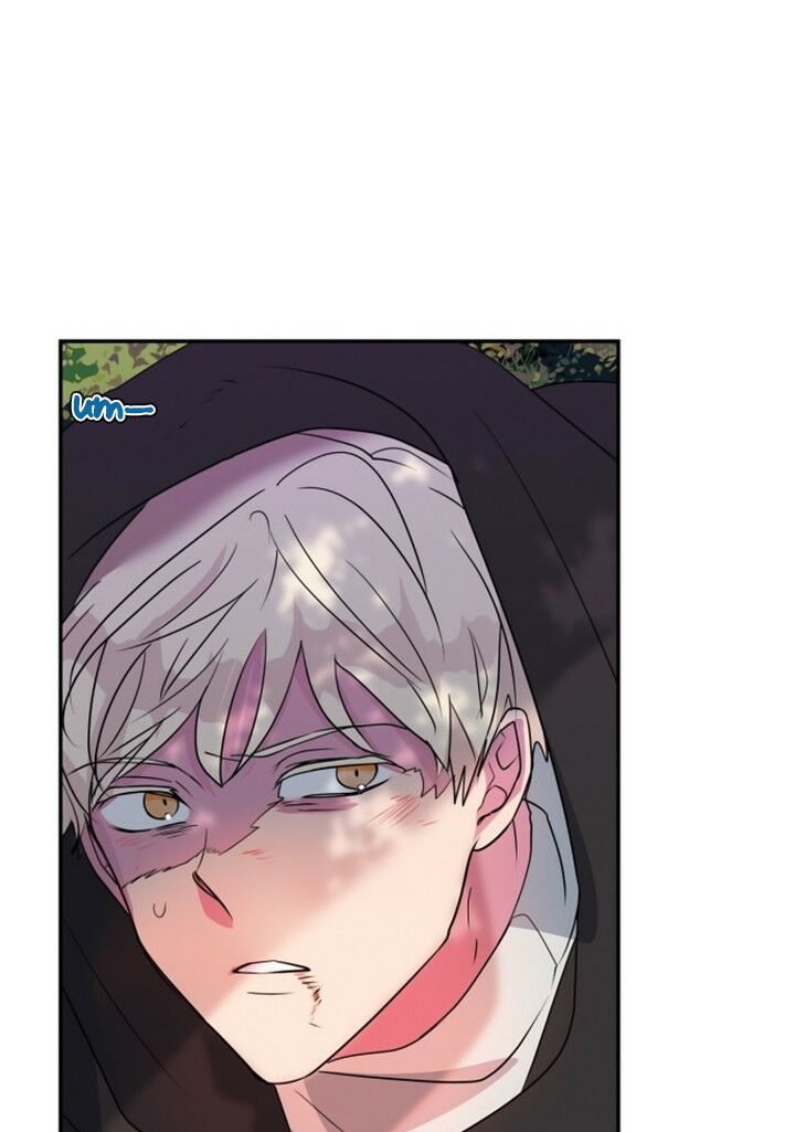 tôi đang nuôi dưỡng một con quái thú chapter 20 42