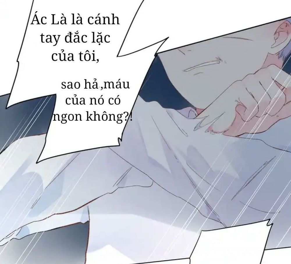 sos! tôi đã yêu một con sâu bướm (phần 2) chapter 43 4
