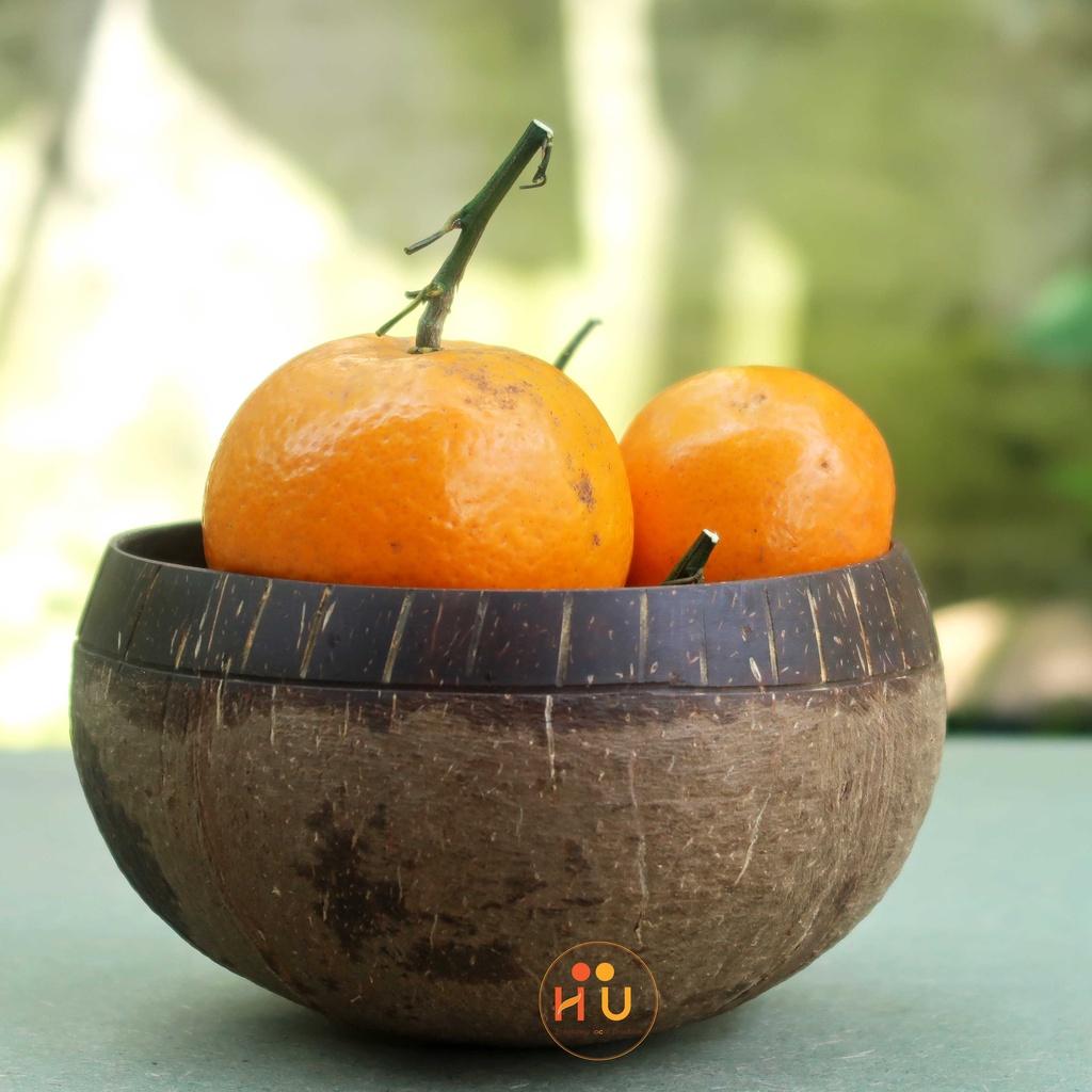 Tô gáo dừa khắc hoa văn Her