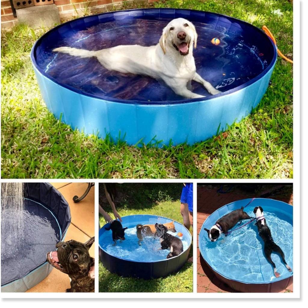 Hồ tắm Thú Cưng PORTABLE PAW POOL 80x20cm