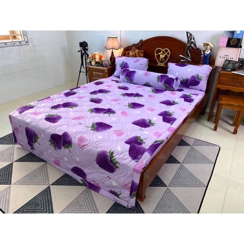 Bộ drap ga thun lạnh Hàn quốc 4 món chất đẹp