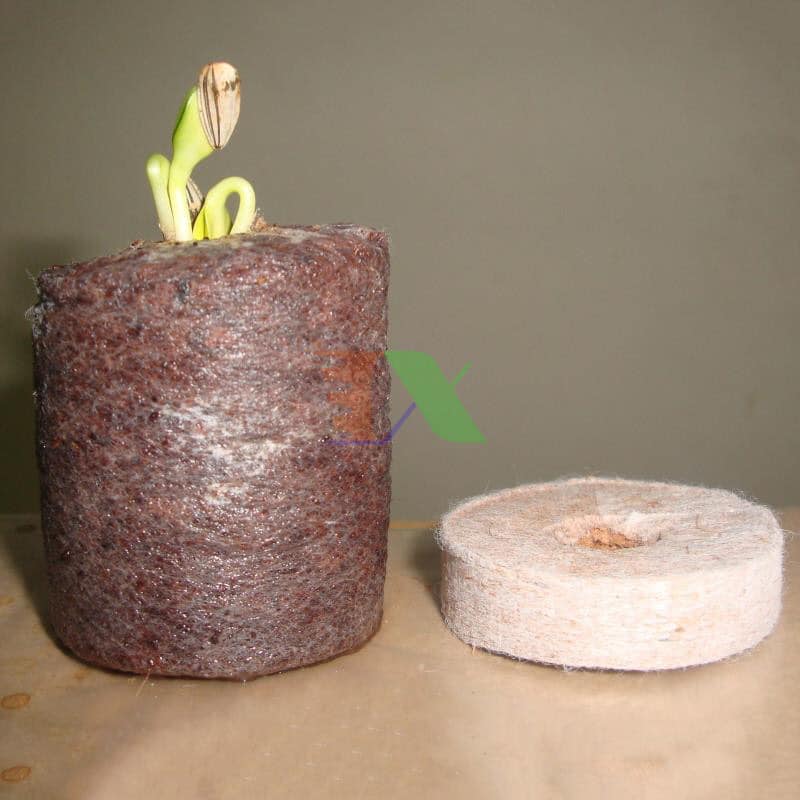 100 Viên Nén Xơ Dừa 10 viên, Tiện Lợi, Tiết Kiệm Thời Gian, Nảy Mầm Tốt Hơn