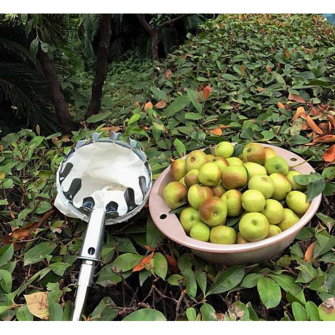 VỢT HÁI QUẢ