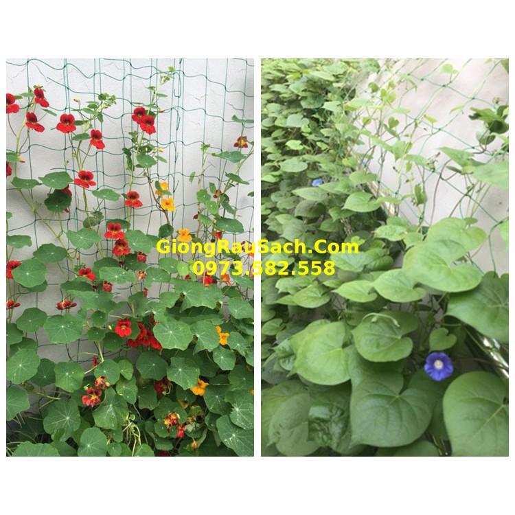 Lưới Leo Giàn Cho Cây Leo Dưa Chuột, Bầu Bí Mướp Đậu… Mắt Lươi 10*10cm Các size