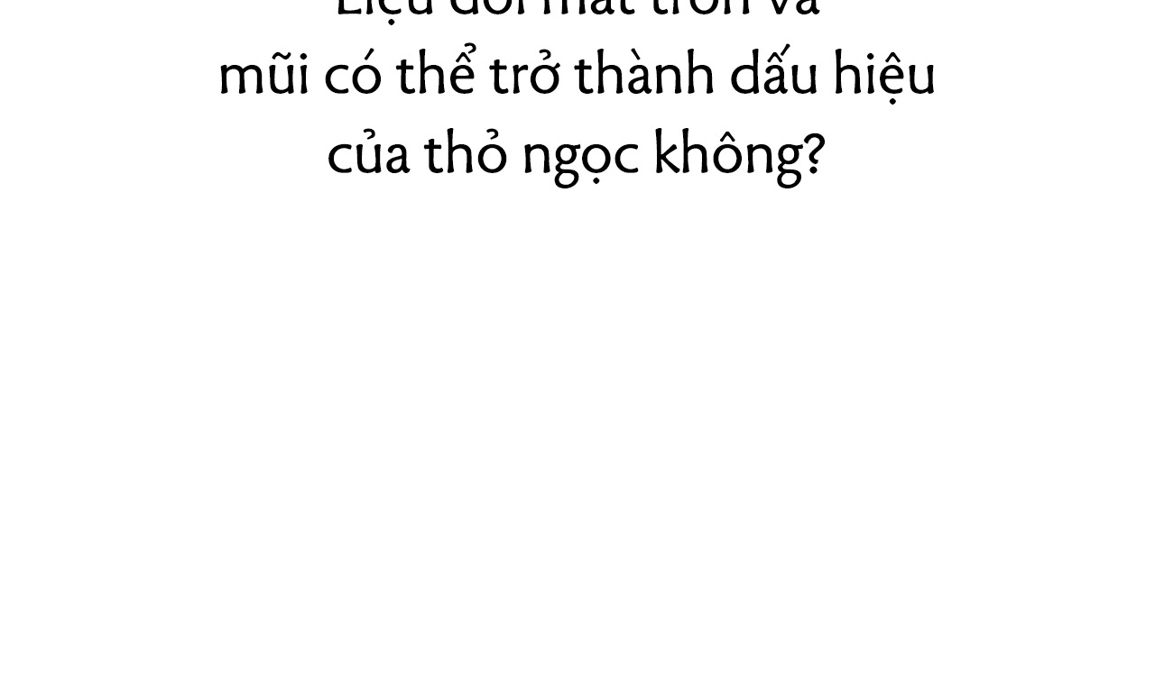 đàn thỏ của habibi chapter 19 63