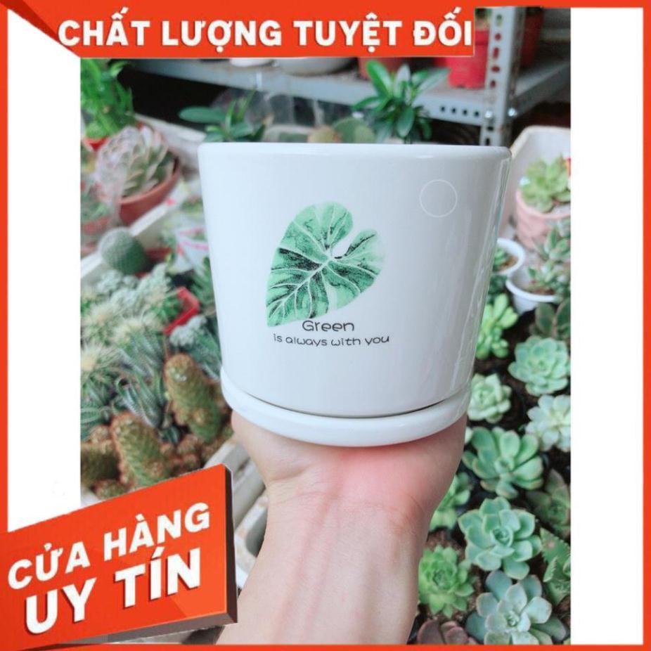 Chậu kiểu tráng men cao cấp kèm dĩa lót