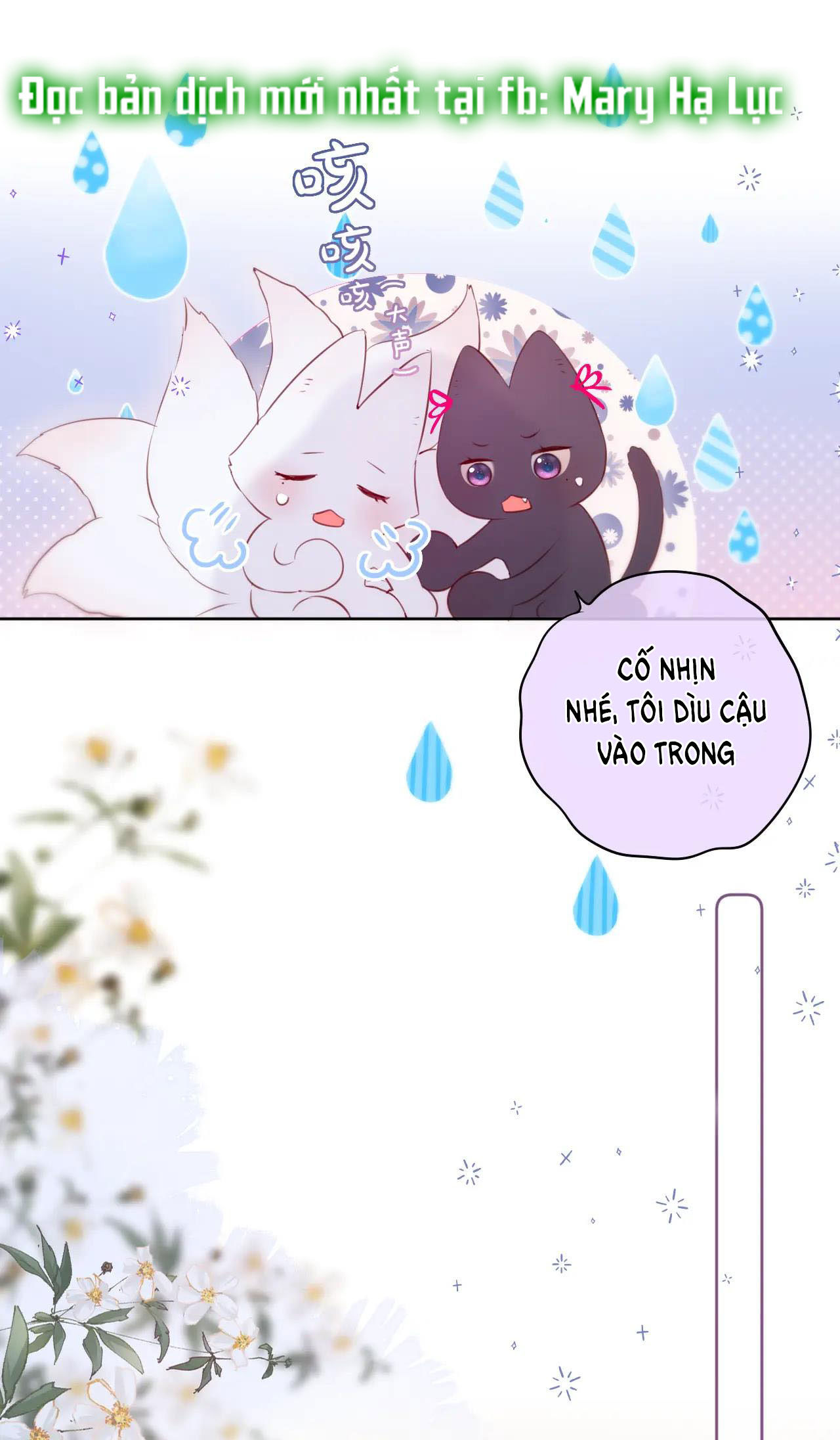 cạm bẫy của hồ ly chapter 8.2 13