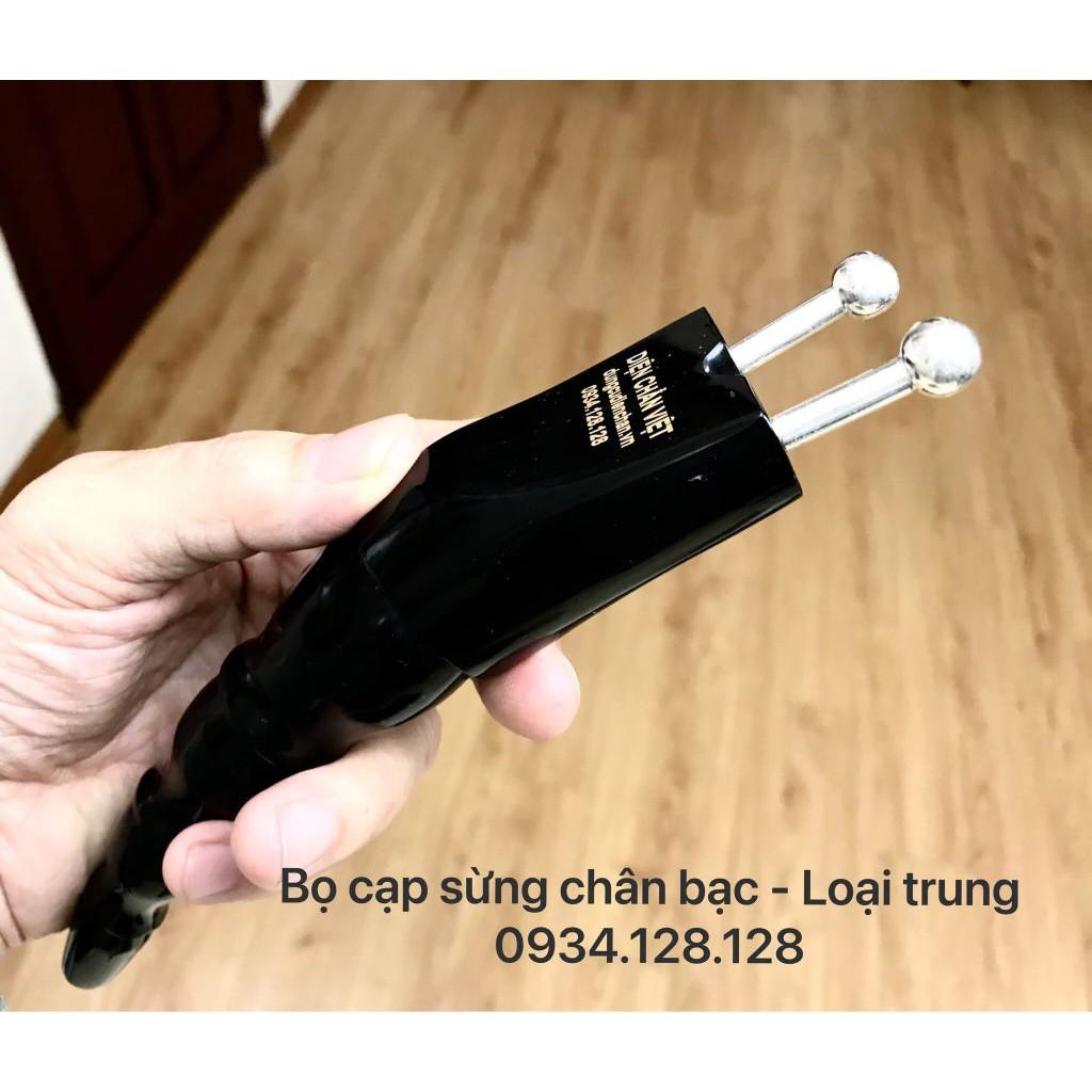 Bọ cạp sừng đầu bạc đánh gió giải độc - Loại trung