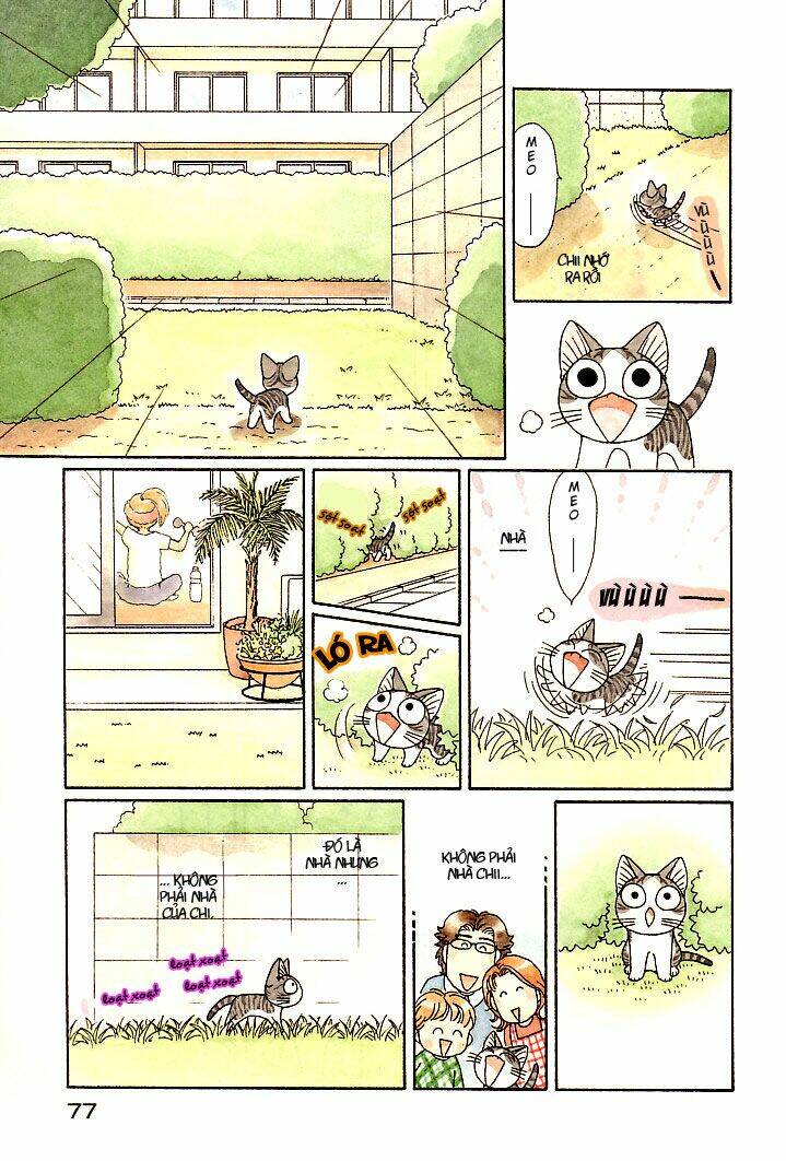 chi's sweet home chapter 84 5