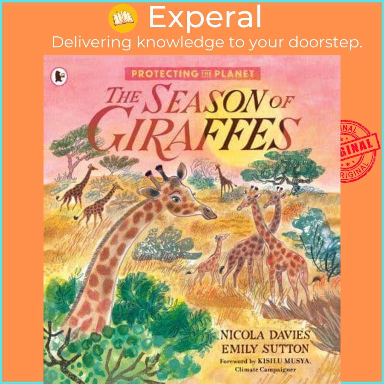 Sách - The Season of Giraffes - Protecting the P by Nicola Davies (author),Emily Sutton (artist) (UK edition, Paperback)