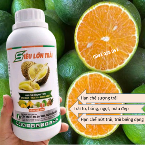 PHÂN BÓN LÁ SIÊU LỚN TRÁI