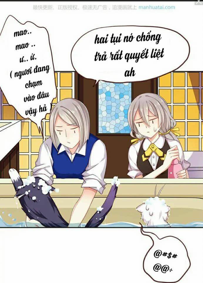 tân quang thiên chapter 45 14