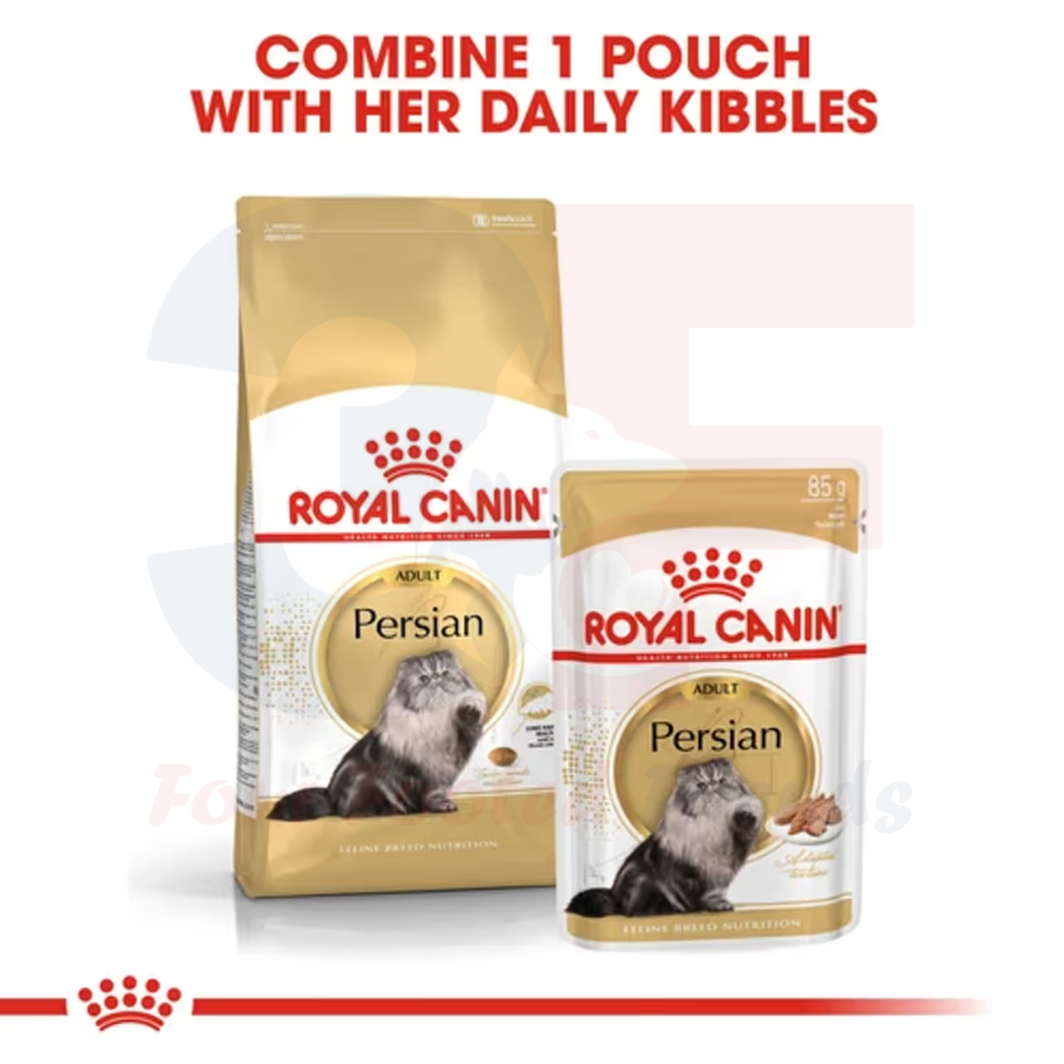 Thức Ăn Cho Mèo Ba Tư Trưởng Thành Royal Canin Persian Adult