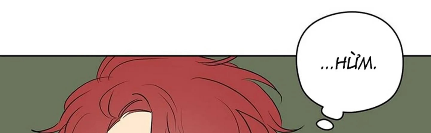 chuyện quái gì với giấc mơ đó vậy chapter 12 332