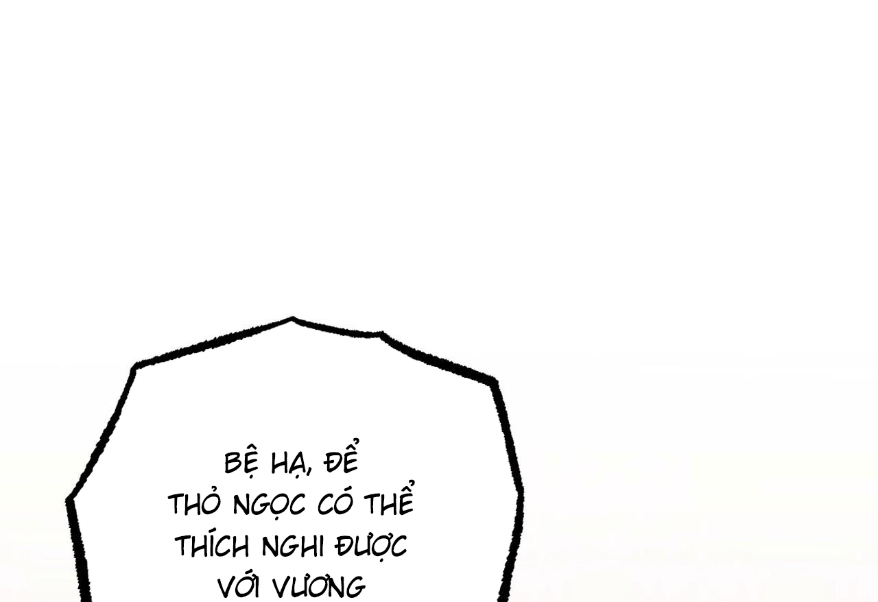 đàn thỏ của habibi chapter 62 244