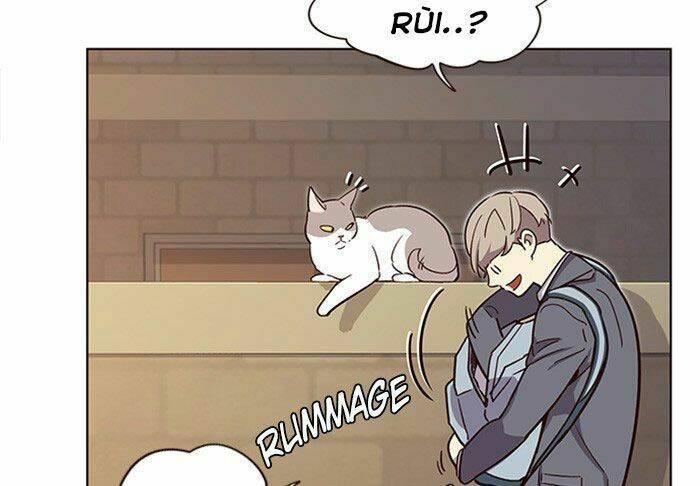 biến thân thành mèo chapter 11 53