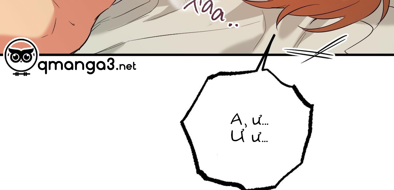 đàn thỏ của habibi chapter 54 186