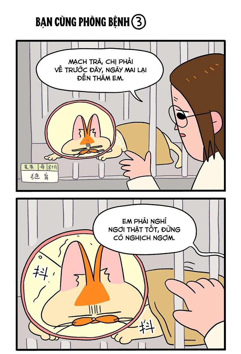 a mãn và mạch trà chapter 18.1 5