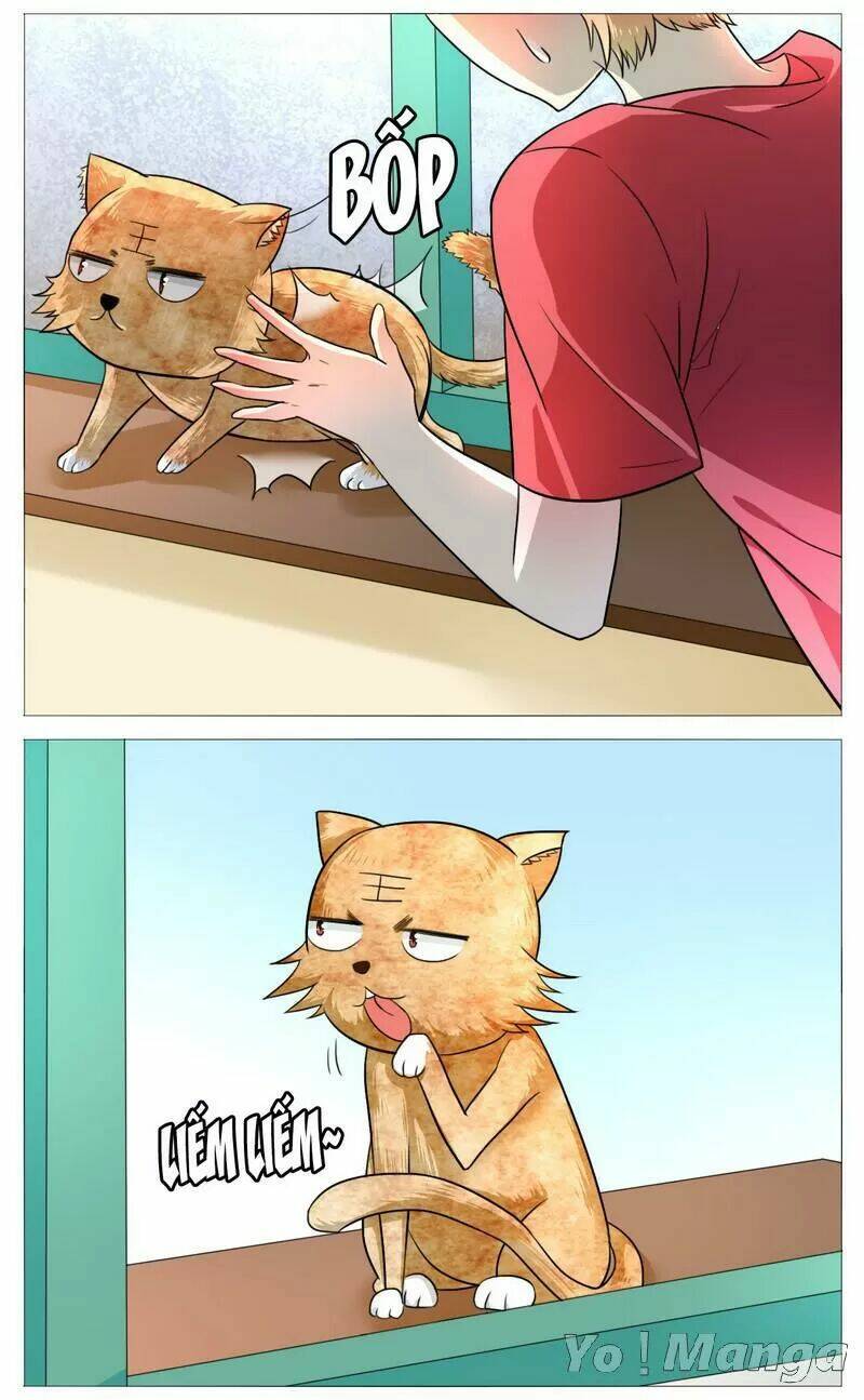 tôi là vợ tôi chapter 50 12