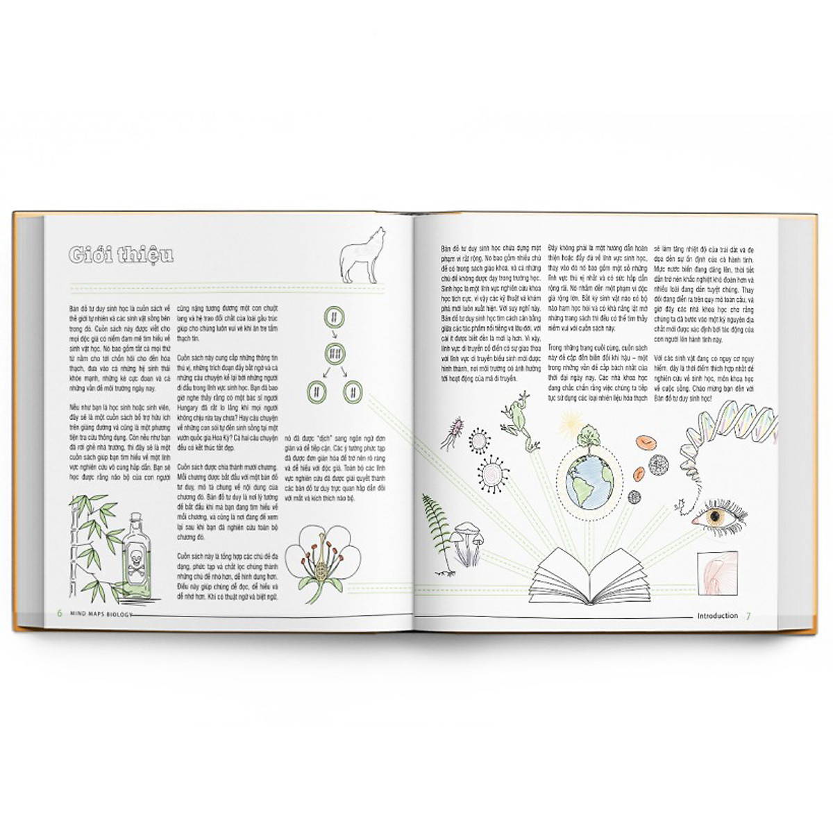 Sách Sơ đồ tư duy Sinh học - Min map Biology