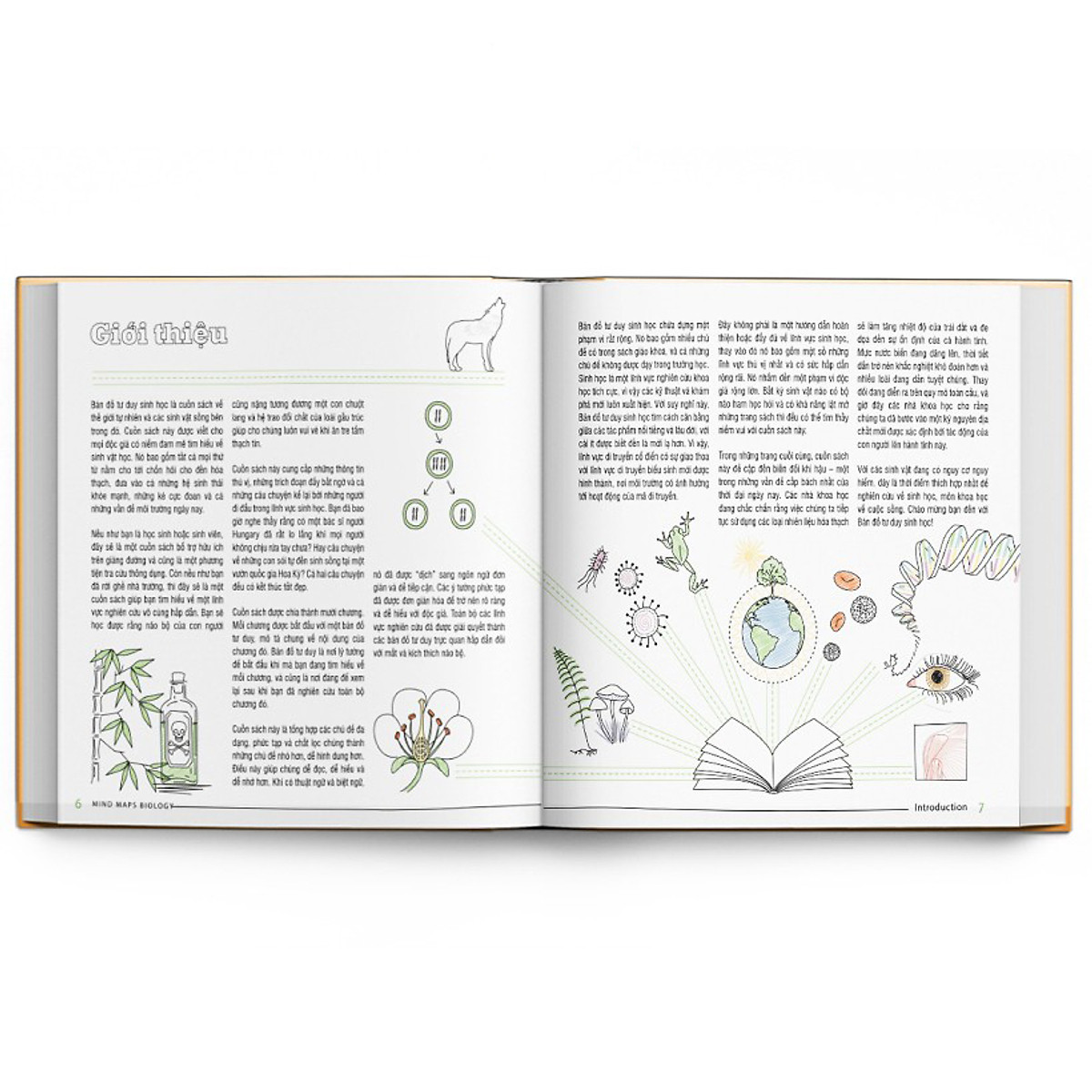 Sách Sơ đồ tư duy Sinh học - Min map Biology ( Tặng kèm BOOKMARK)