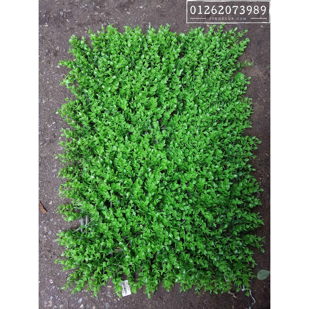 Cỏ nhựa treo tường - cỏ tai chuột