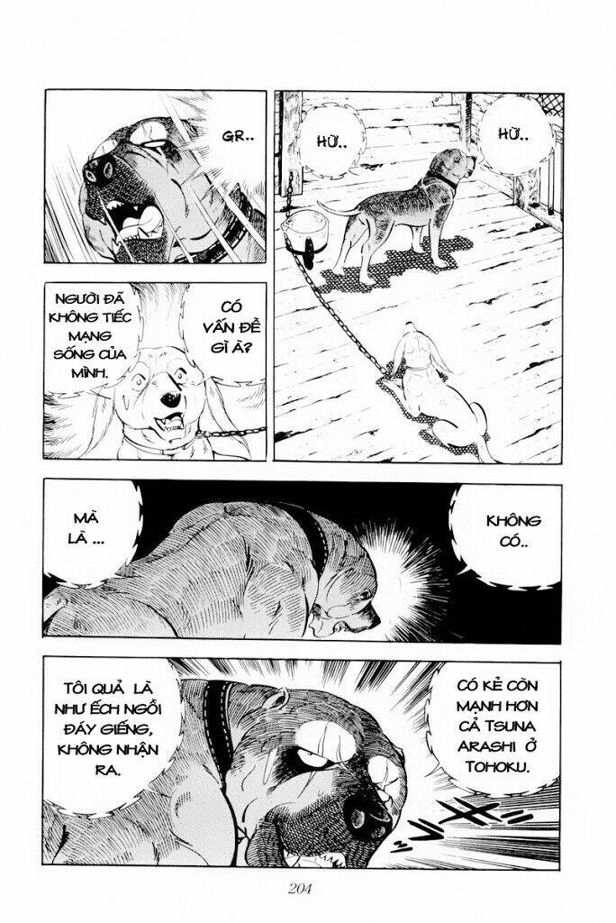 chú chó có nghĩa - ginga nagareboshi gin chapter 29 18