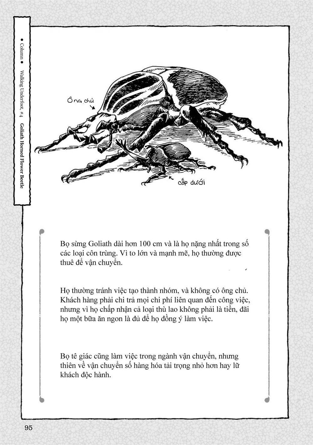 hai cô gái ở trong rừng chapter 4 23