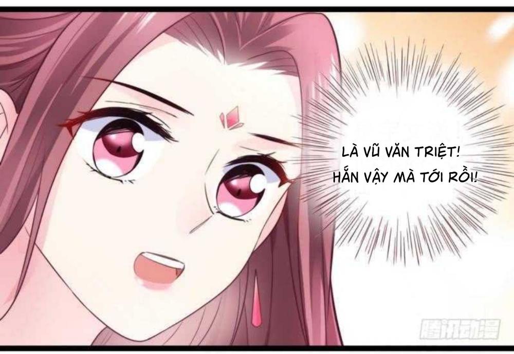 vương phi - âm động thiên hạ chapter 23 19