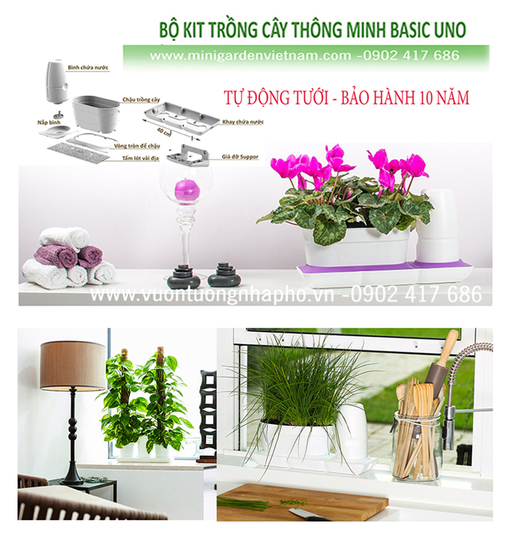 Vòng Phụ Kiện 5 Màu Color Ring Thay Thế Vòng Chậu Kit Trồng Cây Tự Dưỡng nhập khẩu Bồ Đào Nha Basic S và Basic UNO (màu trắng)