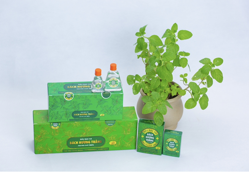 Tinh dầu Bách Hương Trắng, chai 7ml, 100% tinh dầu bạc hà thiên nhiên