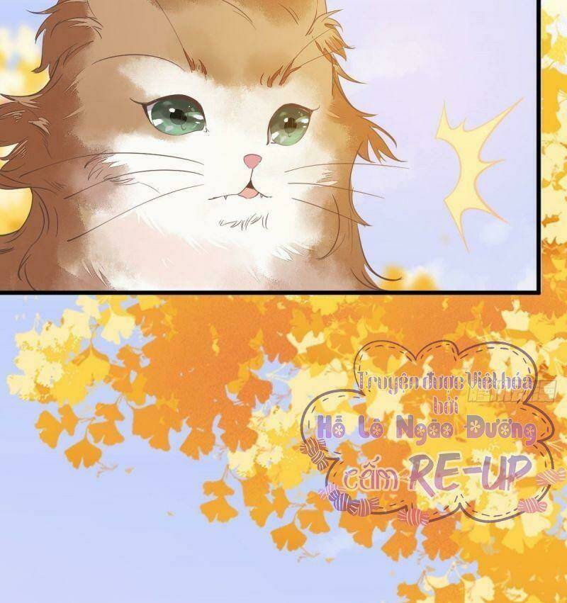 sát thủ vương phi không dễ chọc chapter 32 18
