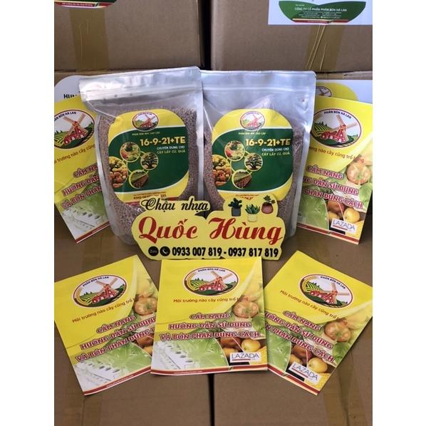 Hạt giống các loại rau củ - quả