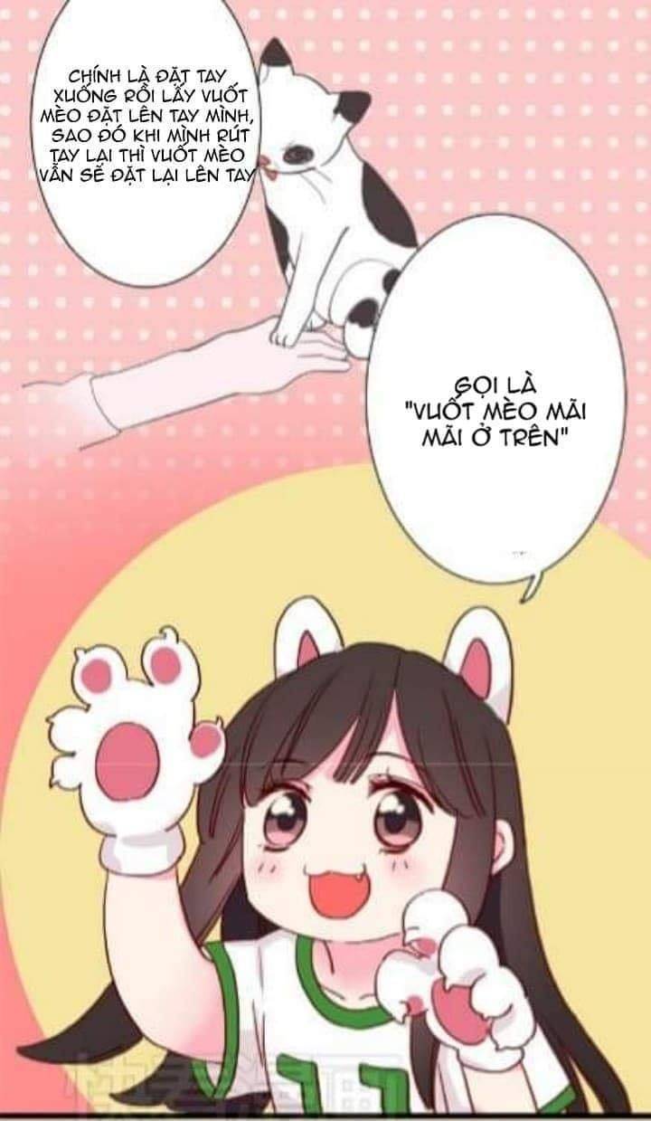 gấu nhỏ dư và thỏ thỏ hứa chapter 9 10