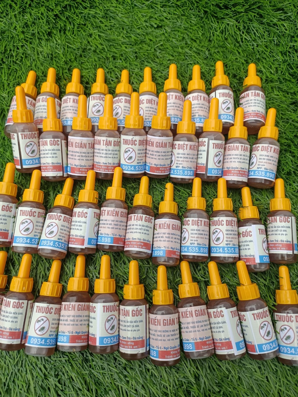 Thuốc diệt kiến gián sinh học tận gốc