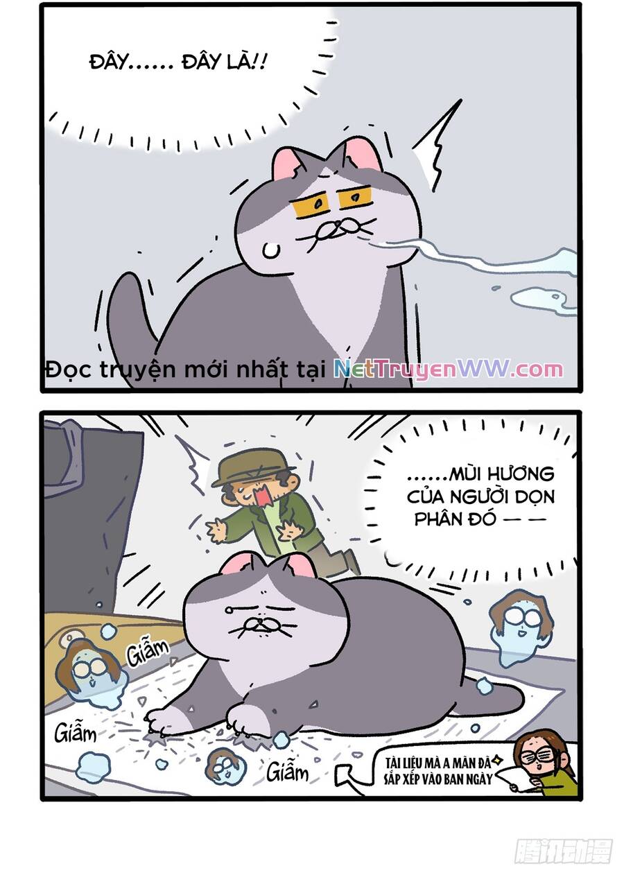 a mãn và mạch trà chapter 154.1 4