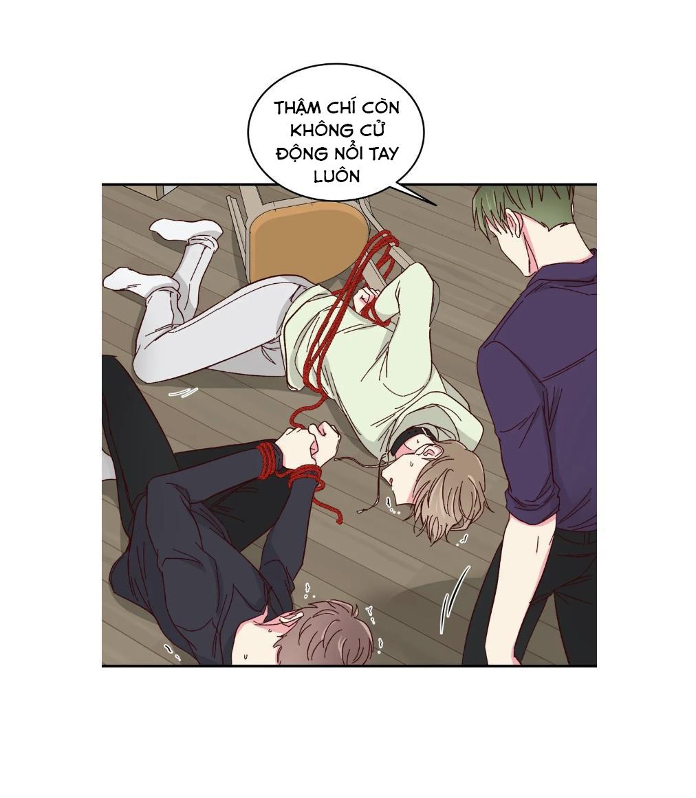 món tráng miệng của sếp tổng chapter 57 6