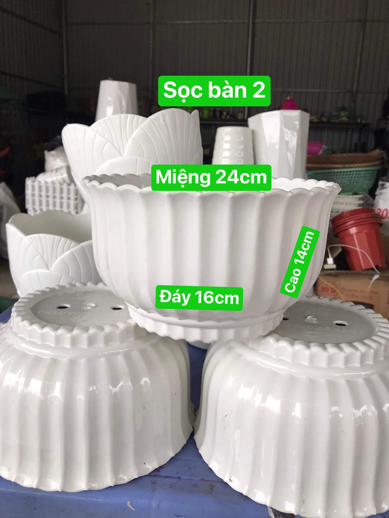 Chậu Nhựa Trồng Hoa Để Bàn Trắng Sọc Kt 24x14x16 cm
