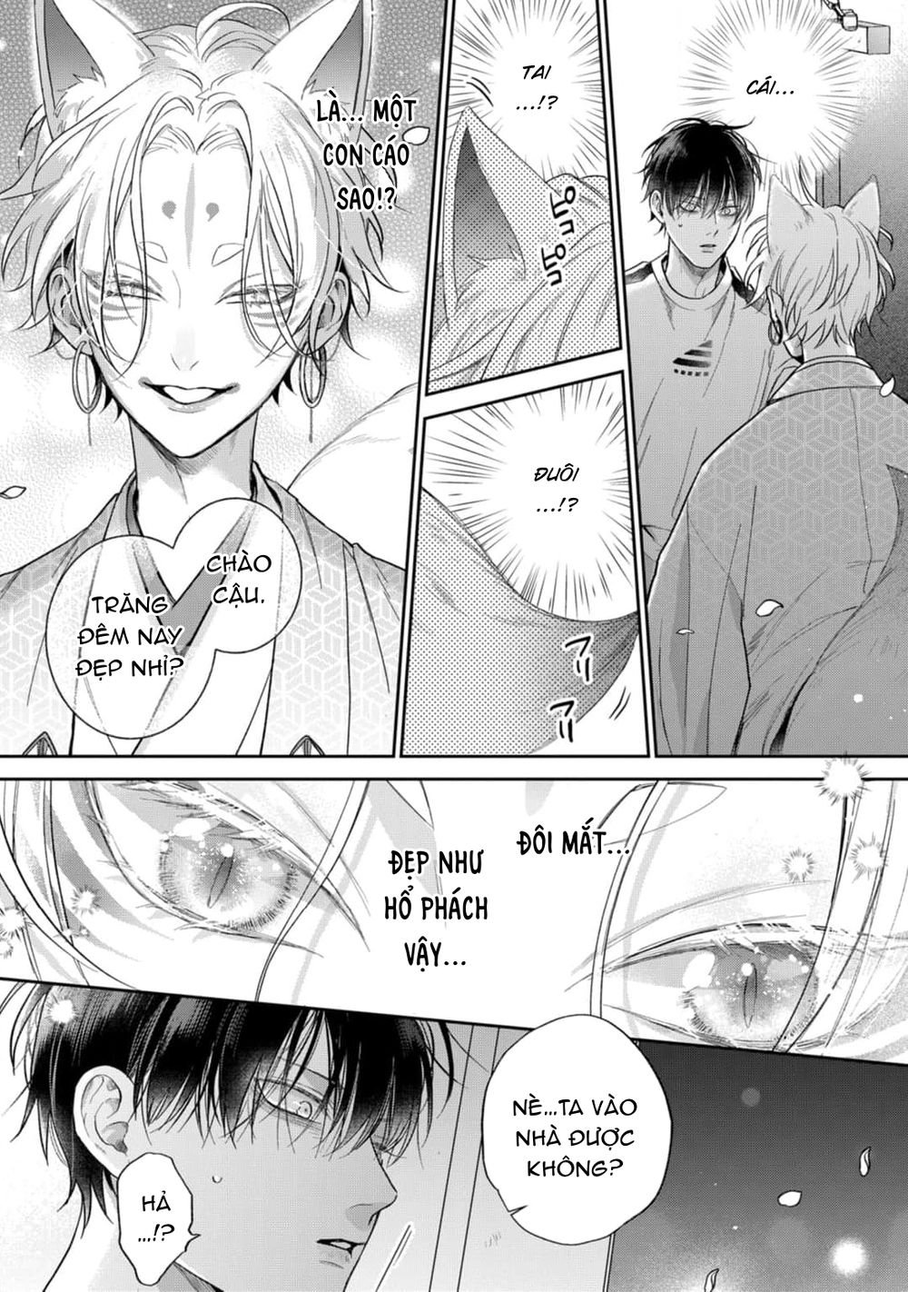 đặc ân của yêu hồ chapter 1 28