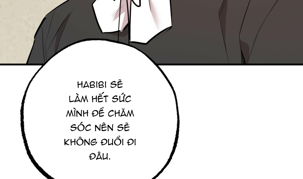 đàn thỏ của habibi chapter 31 29