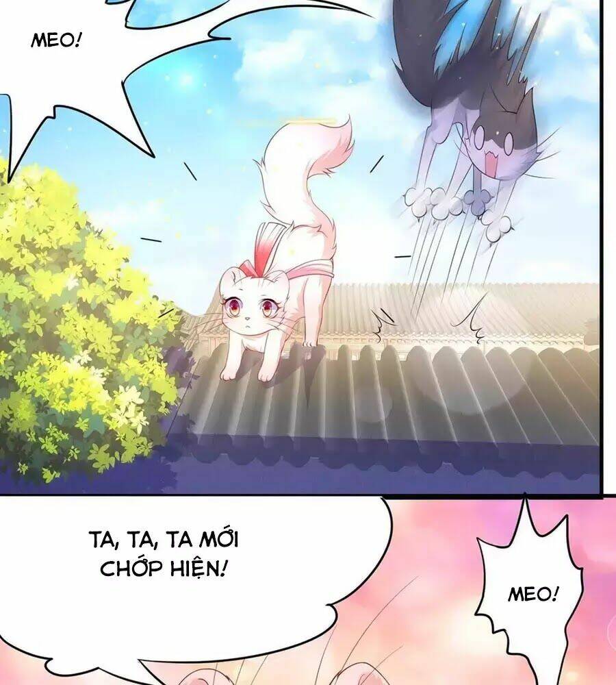 dưỡng thú vi phi chapter 6 36