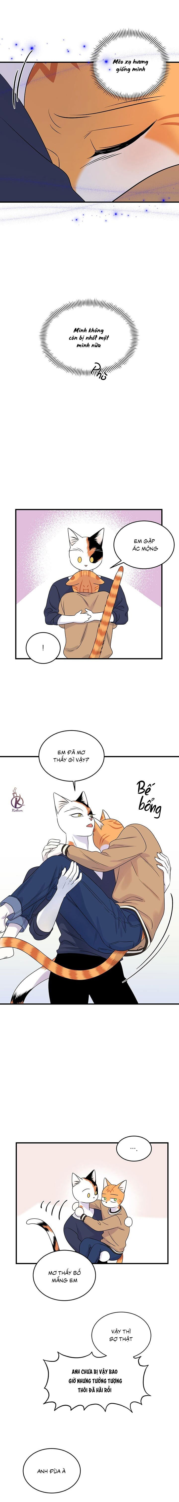 dự án xanh chapter 51 14